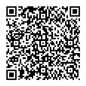 它的成长绝对比孤单的在这里生长无数年更加迅捷的……唯一麻烦的就是秦方需要提供较为充沛的灵气供给才行二维码生成