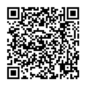 它的这种孵化似乎很是与众不同……秦方可以感觉到那一枚卵在慢慢的孵化二维码生成