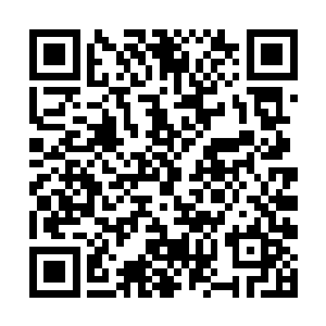 它终是不用畏手畏脚可以让我们快速尝到死亡的滋味二维码生成