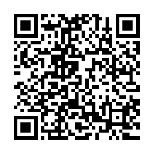 它翻成了俯拍的角度――在沉思者盘踞的横梁交汇处下方二维码生成
