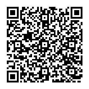 它能敏锐地感应到不同地区的用人类最尖端的仪器也测试不出来的极微弱的磁场的变化二维码生成