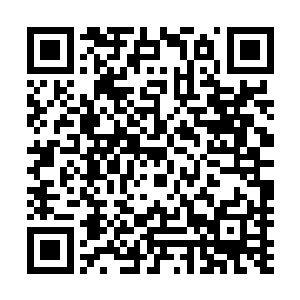 它认为夏天接下来一定会被它的攻击给打的暂时无法动弹的二维码生成