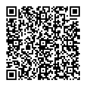 它还从来没有被这么弱小的修士攻击得让它瞬间失神・同时也从来没有让这么弱小的修士在它的攻击下逃脱二维码生成