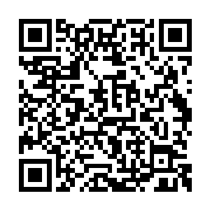 宇凡的剑距离墨颜的内衣已经仅有一寸的距离了二维码生成