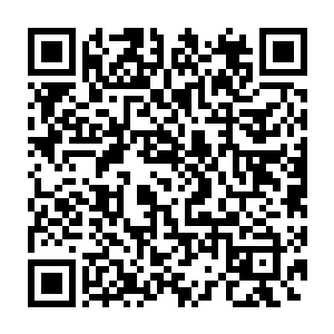 宇宙之心是可以决定我们这些仙界傀儡能否成功突破异界的重要存在二维码生成