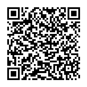 宇宙大帝的脑海中忽然浮现出了一个已经很久很久没人提到过的名词二维码生成