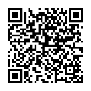 宇宙间不入准神境界的修士全部都在宇宙法庭之中留有档案二维码生成