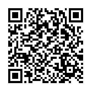 守卫着皇宫的强者们仿佛看到了神话传说里的仙尊与佛陀二维码生成