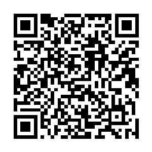 守寨的孩儿们和出力的家属外加刚刚上山的兄弟共占一成二维码生成