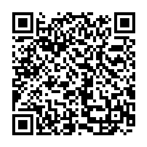 守旧而固执的精灵依旧用着精灵一族从远古时期就流传下来的战斗方式进行战斗二维码生成