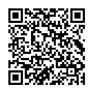 安妮海瑟薇有模有样的开始学着张东城的样子用筷子夹东西吃二维码生成