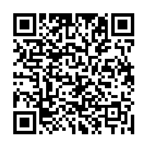 安娜・希尔・约翰斯通曾经为一部电影担任过美术指导二维码生成