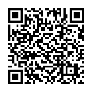 安家主和各位家主此举是为了上仙域还是为了左家呢二维码生成