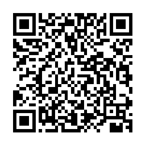 安布罗休现在总算是知道为什么帕翠西娅说张东城难以招架了二维码生成
