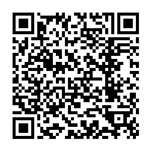 安德烈第一次交税的商品就是去年怎么也不愿意卖给范子衿的那一批二维码生成