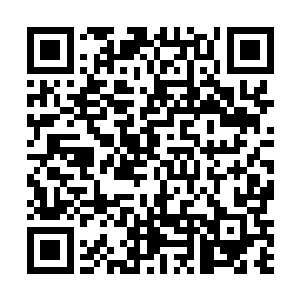 安德罗希恩几乎是毫不犹豫的拒绝了巴博思的提议……二维码生成