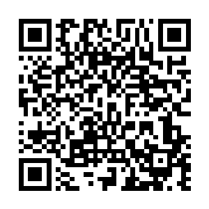 安怡郡主不相信京里会有其他茶铺卖和婉宁手里一样的茶二维码生成