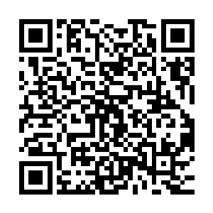 安溪公主敢这么问自然是手中握有舒曼琳早就认识墨景黎的证据二维码生成