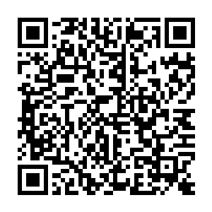 安绍年带队的任务等级可能不低于当年那次出动了三分之一红蝎的任务二维码生成