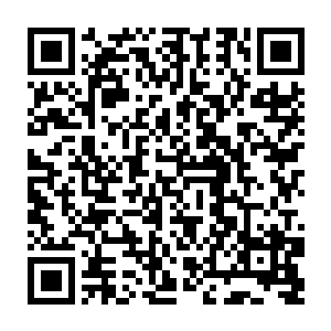 安迪拉整个国家都在追捕我们……只有离开这里才能保证小队的整体安全二维码生成