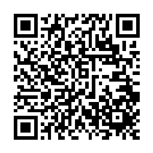 安道家族和墨府陆家这三大家族曾经的确出现过主神境的老祖二维码生成