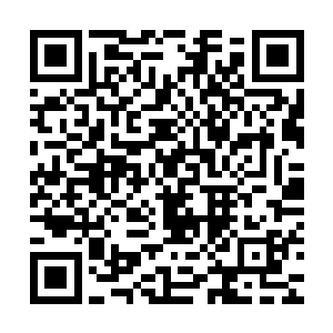 安齐远才一本正经地表示是时候回无赦谷处理堆积如山的公务了二维码生成