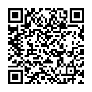 宋倩颖在楼梯上就看到他们一家四口在客厅里抱的难舍难分二维码生成