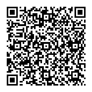 宋州市文化艺术中心这一系列政府出资建设的公共基础设施也很巧妙的安排座落在了南城新区的几个节点上二维码生成