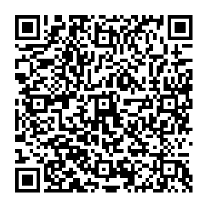 宋州是要被当做长江中下游结合部和昌鄂皖结合部这两个不同定位但是在区域上又是重叠的核心区来打造的二维码生成