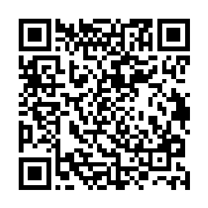 宋州艺专在升格后也专门在南城新区拿下一千二百亩土地二维码生成