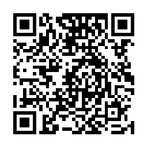 宋辰砂一直没有和张萧晗提起上古丹宗这边猎杀妖兽的任务二维码生成