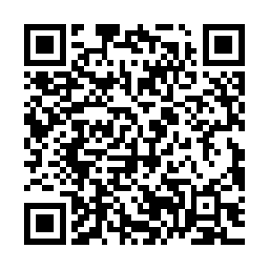 完了……这下他们肯定恨不得将国内所有的上忍都转换成为天忍二维码生成