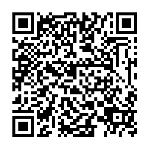 完全不像先前和那些镇守山门的高手说话的时候那娇滴滴的模样了二维码生成