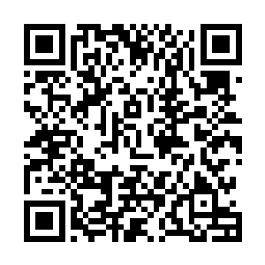 完全不具备任何威胁的那种……自然也就被秦方给无视了二维码生成