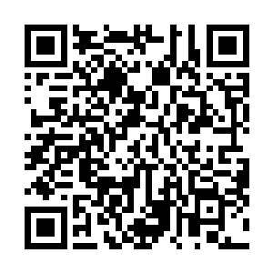 完全不顾及旁边有血凰和灵王这样的两只强悍的灵兽存在二维码生成