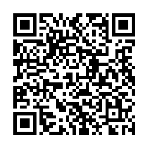 完全可以从楚暮的那一句话中听出楚暮所要表达的意思二维码生成