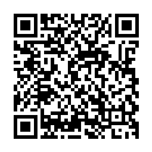 完全可以在几个月内就把数千万人网罗在他们的传销网罗之中二维码生成