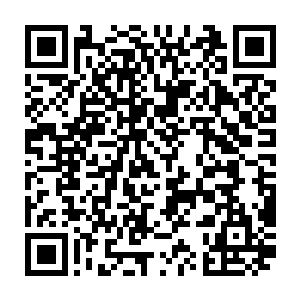 完全可以成为把明湖文化旗下这几个签约艺人的人气再往上拔高一下的一次机会二维码生成