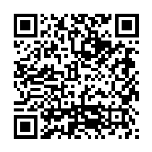 完全就是因为大小姐现在正在忙着接受皇后娘娘的赏赐二维码生成