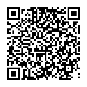 完全就是在看着现场演绎的枪战大片……虽然场面不如经过了后期制作的电影二维码生成