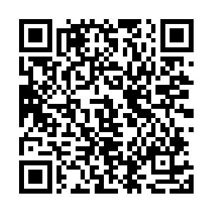 完全无法理解为什么艾米拉说这话的时候居然会是满脸羡慕二维码生成