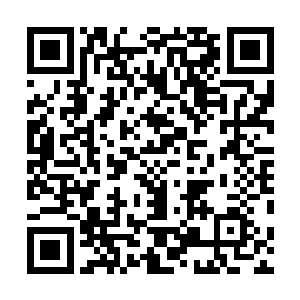 完全无视凤凰帝明火执仗的敌意以及李耀十分隐秘的怒火二维码生成