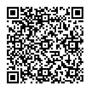 完全是因为无法相信他们七个人竟然把这几百上千只力量增强了两倍的月光狼给杀了二维码生成