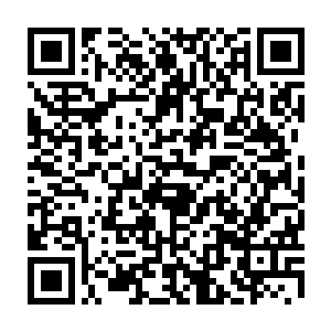 完全沉浸在修炼喜悦中的苏落完全不知道一只毒蛇正在朝她张开血盆大口二维码生成