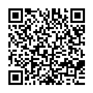完全没有任何可比性的……血麒麟幼崽那一双萌萌的眼睛里面二维码生成