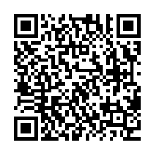 完全没有任何基础想着一两周之内看完并记牢专业的十来本书二维码生成