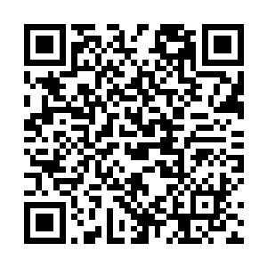 完全没有想到传言中的那头妖兽竟然会是一副如此模样二维码生成