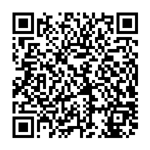完全清醒的鬣狗才手忙脚乱的立刻张开一条毯子抱住的一大包沙石盖在上面二维码生成