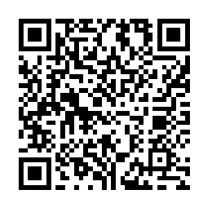 完全的显现在了萧易和赵雨华以及所有的来宾们的面前二维码生成