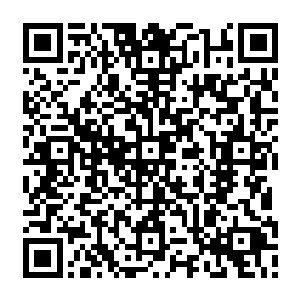 完全石化过后一瞬间便是散落一地成为了碎片然后化为了石灰便是再也没有了动静二维码生成